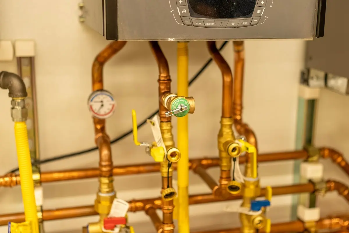 Licensed technician providing Emergency Plumbing for a homeowner in Ripley